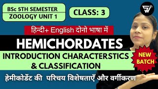 Introduction Characteristics amp Classification of Phylum HemichordataBSc 5th Semester unit 1 [upl. by Riva]