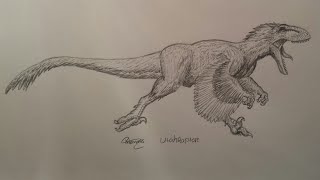 How to draw Utahraptor part 1 [upl. by Fleeta]