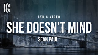 Sean Paul  She Doesnt Mind  Lyrics [upl. by Eelam]