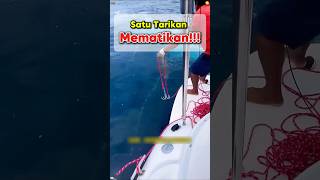 CallMeKuKuKu Makhluk ini bisa berenang lebih cepat dari mobil di jalan tol short shorts [upl. by Adnaral]