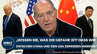 TRUMP GEWINNT USWAHL Gregor Gysi warnt quotUnsere wirtschaftliche Unabhängigkeit steht auf dem Spielquot [upl. by Ecnarf614]