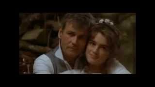 Endless Love Full Movie Facts amp Review in English  Brooke Shields  Martin Hewitt [upl. by Giacobo]