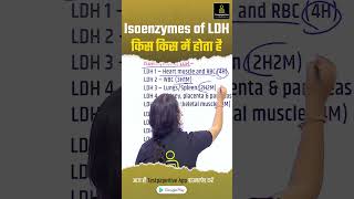 Isoenzymes of LDH किस किस में होता है LDH dmlt bmlt shorts Isoenzymes microbiology [upl. by Barbuto718]