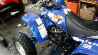 ReBuilt 2000 Yamaha Blaster 200 [upl. by Aihtnamas]