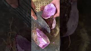 Purple sweet potato cutting process Good tools and machinery can increase work efficiency [upl. by Autum363]