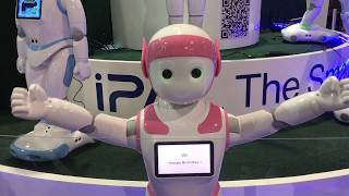 CES 2018  iPAL Companion Robots for Kids [upl. by Cassilda]