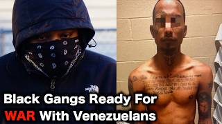 Chicago Gangs DECLARE WAR On Migrants [upl. by Roede]