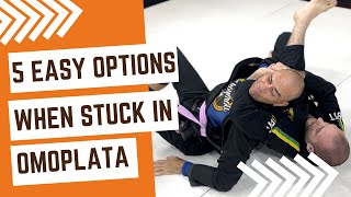 5 Easy Options When Trying To Finish The Omoplata [upl. by Ydospahr713]