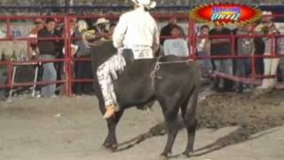 JARIPEO EN CUERNAVACA MORELOS [upl. by Ced939]