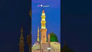 Assalam u Alaika ya Rasool Allah 🩶new shortvideo [upl. by Filia]