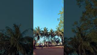 😍🏏Lofted cover drive cricket subscribe trending viral shorts youtubeshortsgullycricketvirat [upl. by Ekram48]