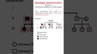 Determining an individuals genotype for a particular phenotype genetics biology science [upl. by Sarajane824]