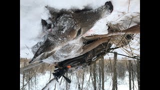 Late Season Deer Hunts CO Book Review  Michigan Out of Doors TV 1802 [upl. by Hana]