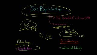 Sole Proprietorships  Advantages and Disadvantages [upl. by Ainuj]