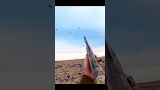 Solo geese hunting long distance shot goosehunting youtubeshorts [upl. by Marcella]