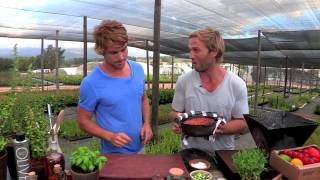 Hayden Qinn prepares the perfect Tomato Spekboom  Stellenbosch De Fynne Nursery [upl. by Poliard314]