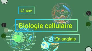 biologie cellulaire chapitre 01 بالانجليزيه🧬🔬 partie 02 L1 biologie cellulaire [upl. by Jordana872]