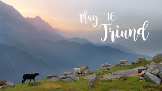 Triund Trek May 16 [upl. by Ahsiekal822]