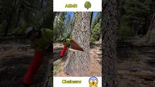 old school chainsaw 🤯🤯🤯 woodworking asmr cuttingwork wood woodworker cuttingmachine [upl. by Kristal232]