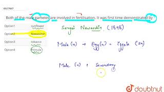 Both of the male gametes are involved in fertilisation It was first time demonstrated by [upl. by Narbig]