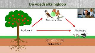 Bio  Voedselkringloop en reducenten  Ecologie onderbouw 2 [upl. by Nwahsel]