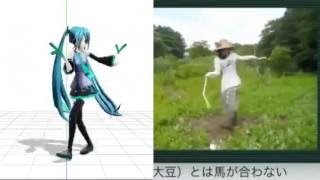 Hatsune Miku Ievan Polkka Dance Comparison [upl. by Ocramed]