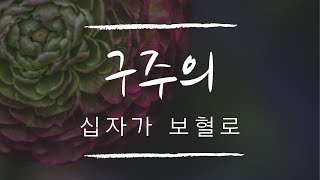 구주의 십자가 보혈로 Down At The Cross Where My Savior Died  구현화 [upl. by Gambell]