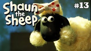 The Dog Show  Shaun the Sheep Season 4  Full Episode [upl. by Der]