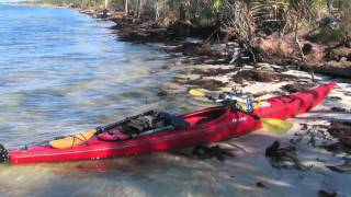 Paddling the Forgotten Coast EcoAdventures North Florida [upl. by Seto152]