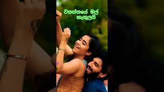 වසන්තයේ මල් කැකුල යි 🎧🔥🔥shorts [upl. by Nuavahs]