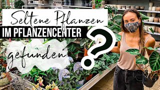 PFLANZEN SHOPPING im Gartencenter 💚  Seltene Pflanzen gefunden  😱 [upl. by Aidnic566]