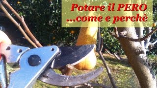 POTARE IL PERO [upl. by Aicnarf]