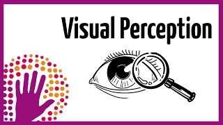 Visual Perception – How It Works [upl. by Luckin]