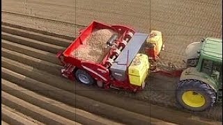 Grimme GL430 www keller technik [upl. by Scurlock]