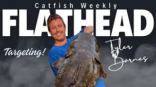 Targeting State Record Flathead Catfish [upl. by Skier]