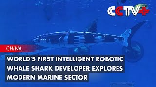 Worlds First Intelligent Robotic Whale Shark Developer Explores Modern Marine Sector [upl. by Maude]