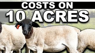 COST OF PREPPING 10 ACRES FOR SHEEP  USA Homesteading Farming Small Scale Sheep for Beginners [upl. by Aerdnuahs]