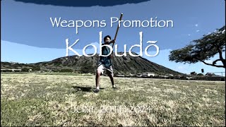 Kobudo Karate Weapons Training amp Promotion [upl. by Unity597]