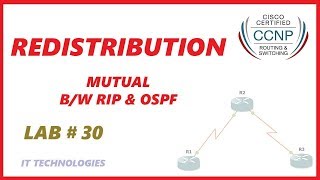 30 Redistribution Mutual between RIP and OSPF [upl. by Lightman]