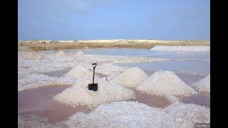 194 Кабо Верде 2017 Педра Луме Салина Солончак в кратере вулкана Cabo Verde Salinas volcano crater [upl. by Anileba]