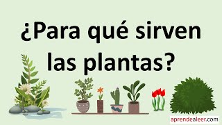 Para que sirven las plantas [upl. by Mackenzie]