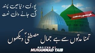 Tamanna Muddaton se hai Jamale Mustafa dekho  New Naat 2024  Beautiful voice Muhammad Taib [upl. by Nyleikcaj]