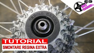 COME SMONTARE E MONTARE LA RUOTA LIBERA REGINA EXTRA DELLA BICI DA CORSA [upl. by Minica]