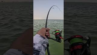 ultralight fishing Queen strike Fishing  Abu dhabi fishing [upl. by Pihc]