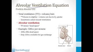 Pulmonary USMLE Step 1 — Ventilation and Perfusion — Boards and Beyond [upl. by Lindholm]