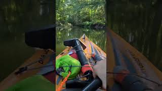 Creek paddling with the Airfusion EVO kayak [upl. by Nedlog643]