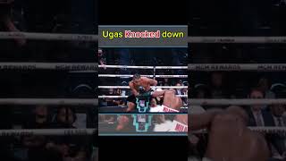 Ugas Knocked down twice motivation worldnews boxingnews [upl. by Nauqyt]