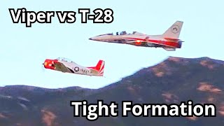 RC Plane Tight Formation Flying Viper vs T 28 [upl. by Atirma616]