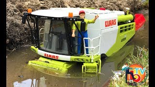 BRUDER MUD COMBINE Harvester CLAAS LEXION 780  Kids videos [upl. by Yrrak]