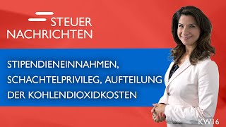 Stipendieneinnahmen Schachtelprivileg Gesetz Kohlendioxidkosten  Steuernachrichten Update 1623 [upl. by Maryann611]